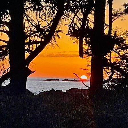 Black Rock Landing Ucluelet Exteriér fotografie